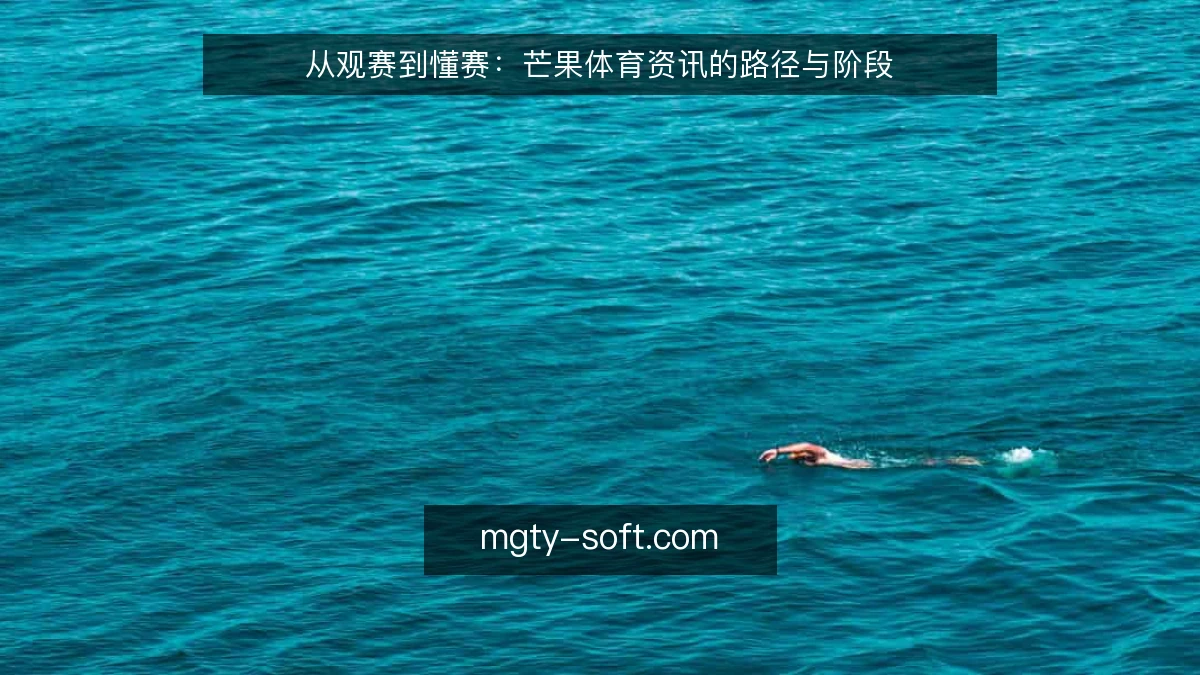 从观赛到懂赛：芒果体育资讯的路径与阶段