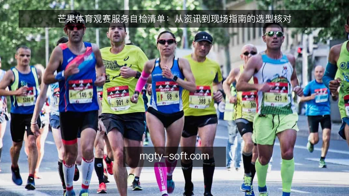 芒果体育观赛服务自检清单：从资讯到现场指南的选型核对