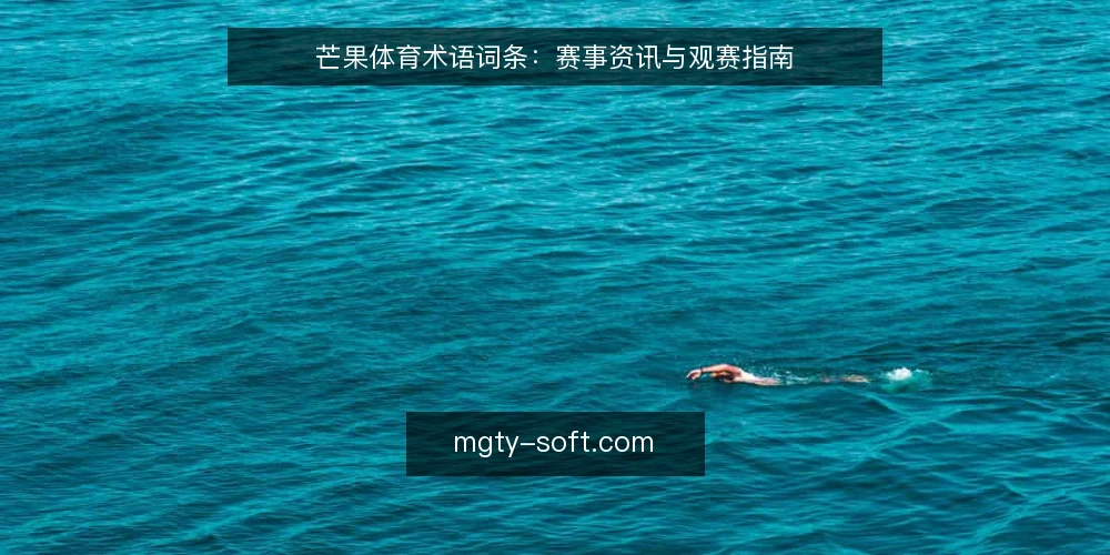 芒果体育术语词条:赛事资讯与观赛指南 — 信号观察:术语词条里的关键信号 配图