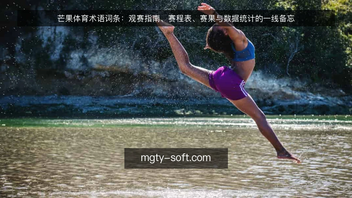 芒果体育术语词条:观赛指南、赛程表、赛果与数据统计的一线备忘