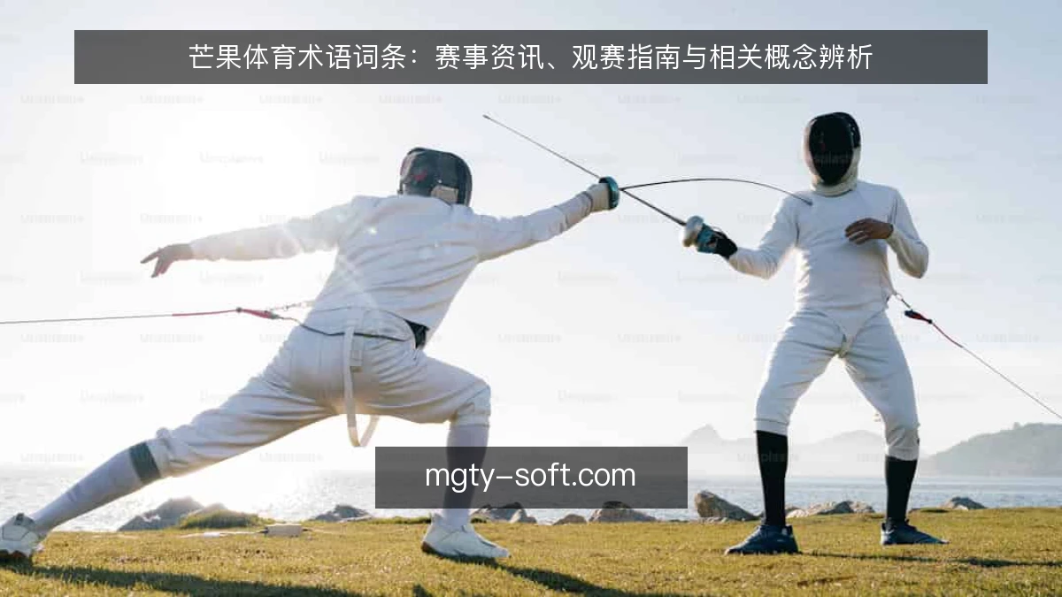 芒果体育术语词条：赛事资讯、观赛指南与相关概念辨析