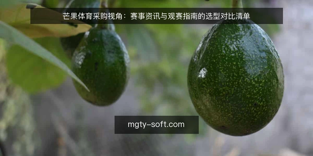 芒果体育采购视角:赛事资讯与观赛指南的选型对比清单 — 先定决策标准:采购前要回答的三个问题 配图